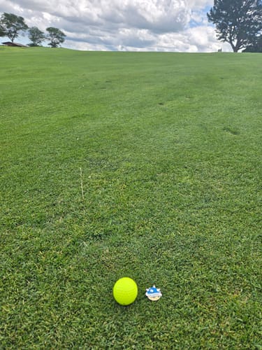 undefined review of Pin Seeker - Ball Marker image 1 out of 1