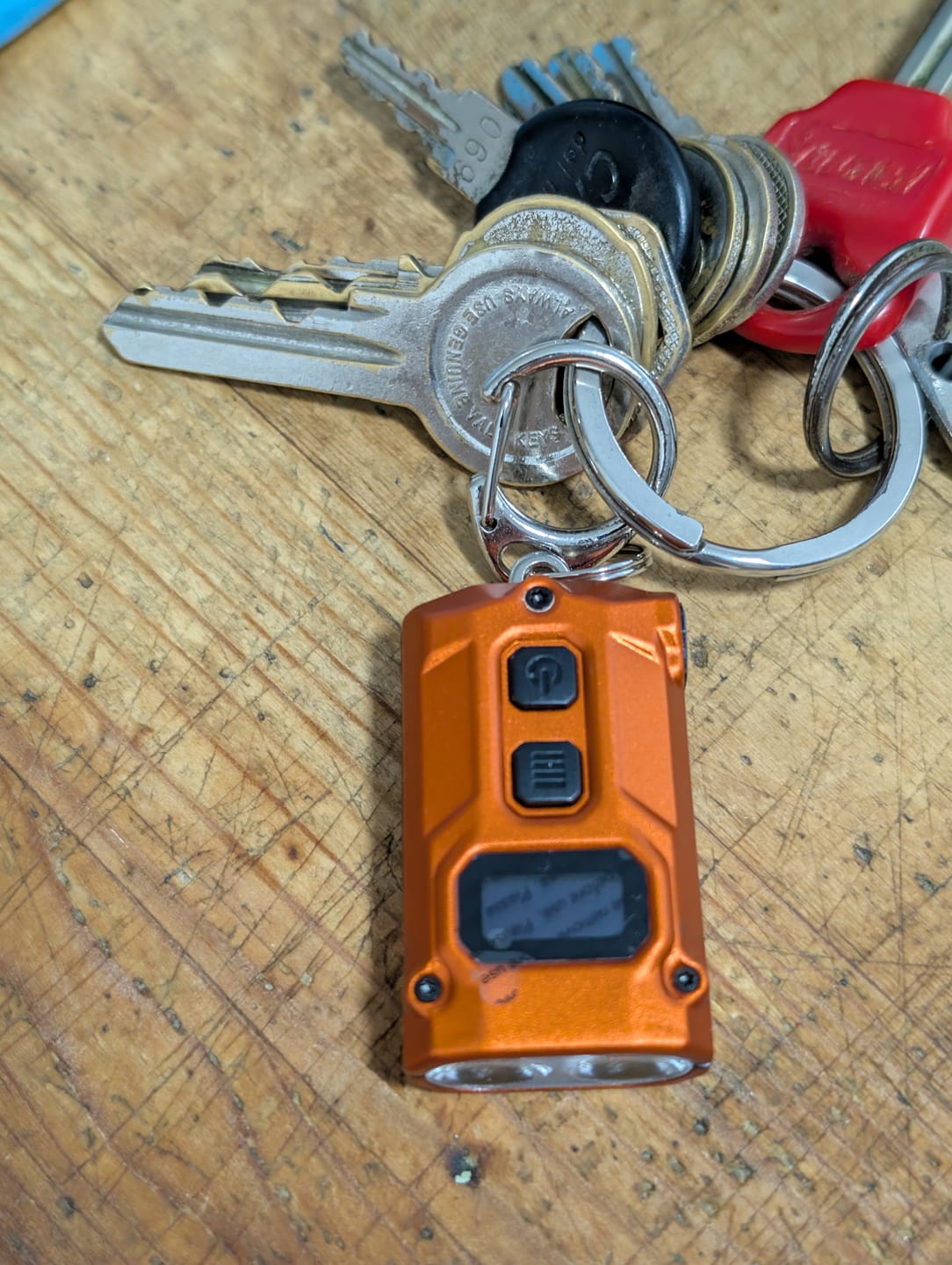 Customer photo review of TINI 3 (Orange) - 600 lumens