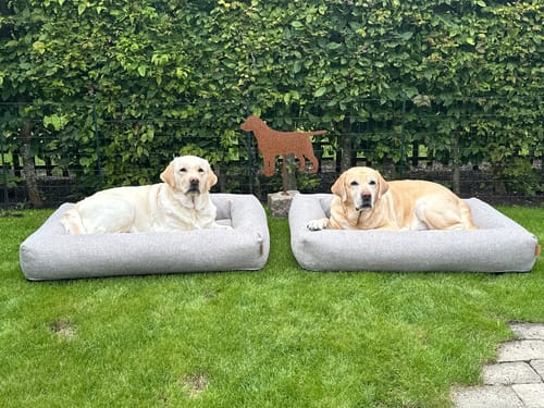 Customer photo review of Staey - Karla Ortopædisk Hundeseng, Dune