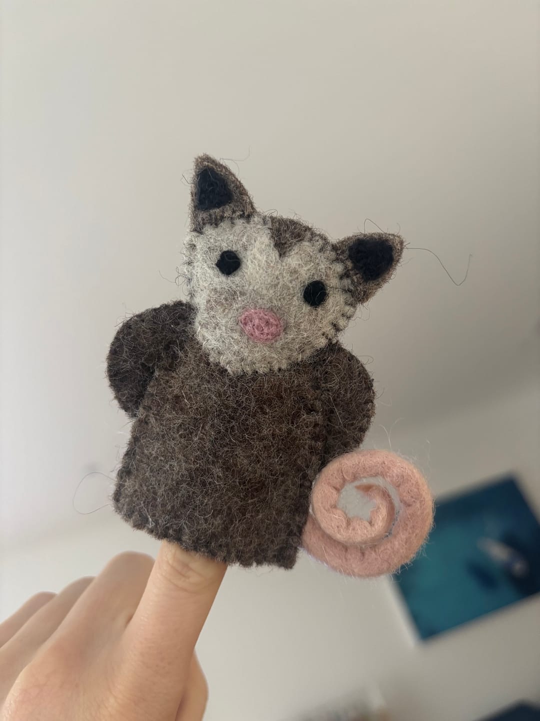 Customer photo review of Finger Puppets - $7 Individual (Pick and Choose)