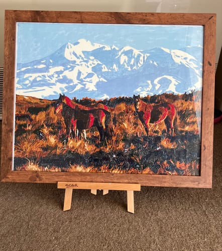Customer photo review of Kaimanawa Horses