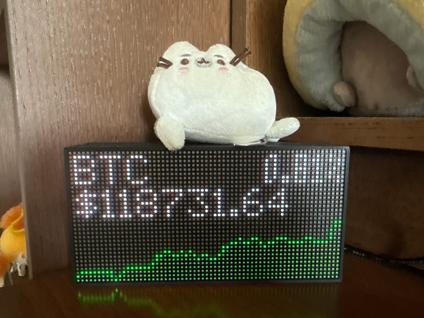 Customer photo review of Ticker Box Display