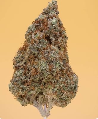 Customer photo review of Mango Haze