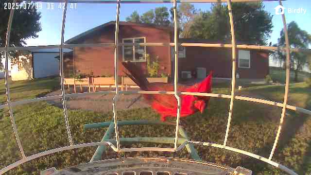 Customer photo review of Birdfy Shield - Bird Feeder Shield