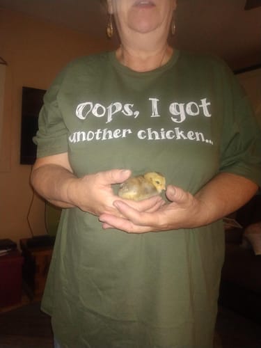 Customer photo review of Oops Another Chicken T-shirt