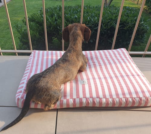 Customer photo review of Materassino Sfoderabile Cotone Righe Larghe Rosso