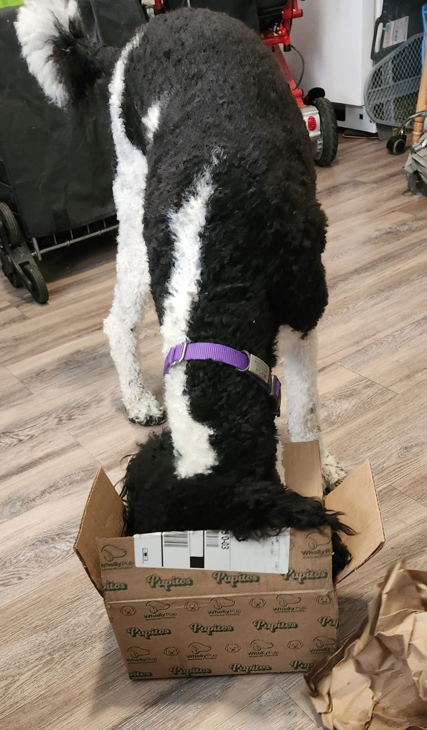 Customer photo review of Smoked Beef Marrow Bones