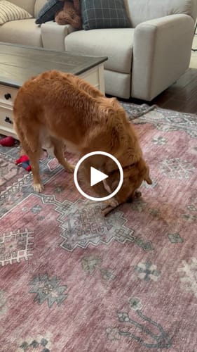 Customer video review of Mystery Gift