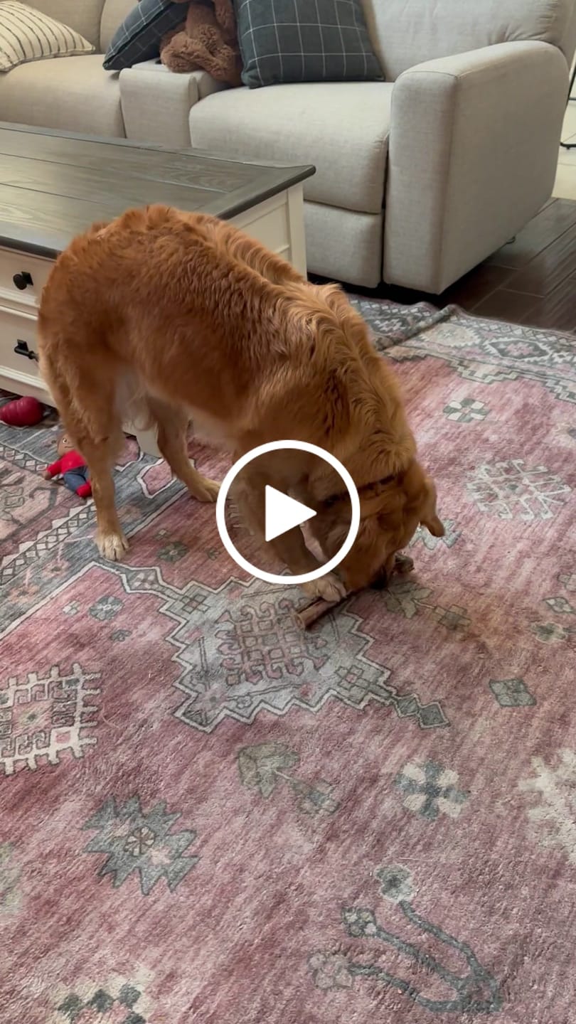 Customer video review of Mystery Gift