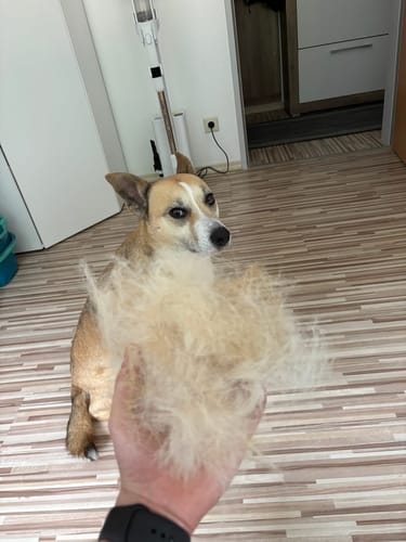 Customer photo review of Fellwunder-Bürste