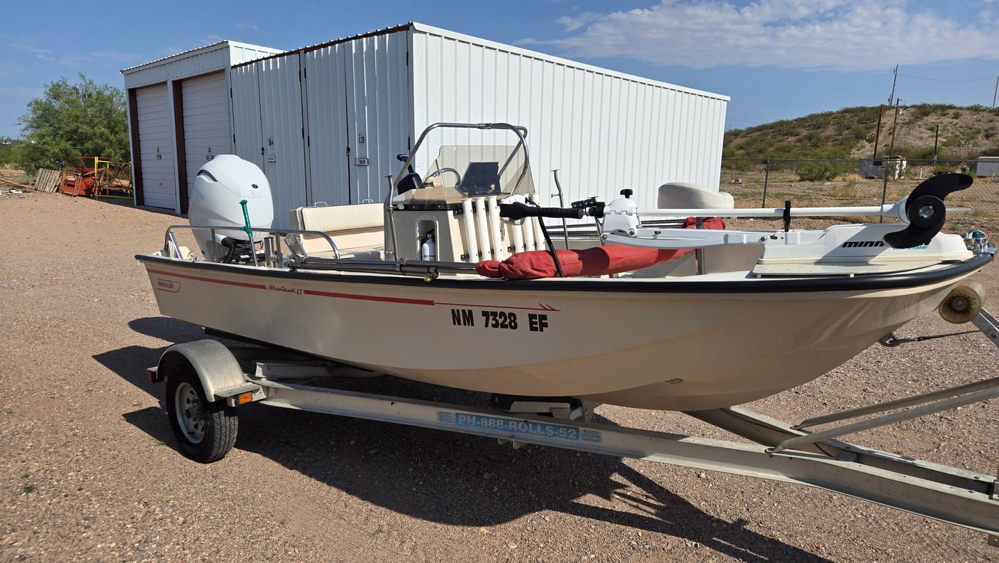 Customer photo review of Boston Whaler 3 Piece OEM Rub Rail **All Black** - Fits Classic 9' - 17'