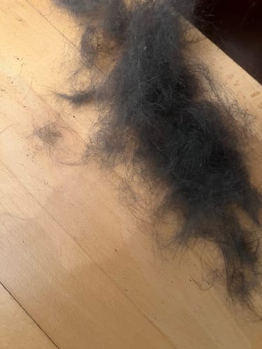 Customer photo review of Fellwunder-Bürste