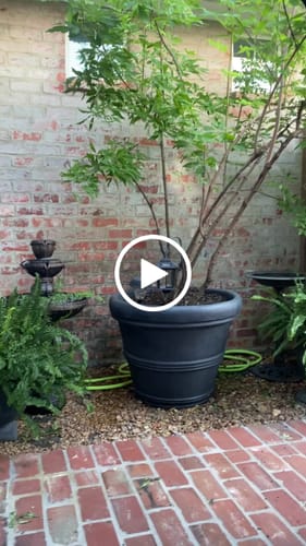 Customer video review of Bosconero Cordless Fountain
