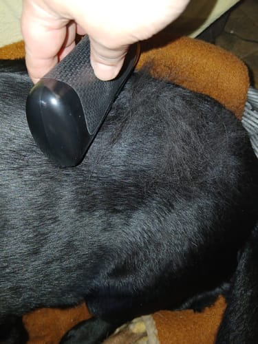 Customer photo review of Fellwunder-Bürste