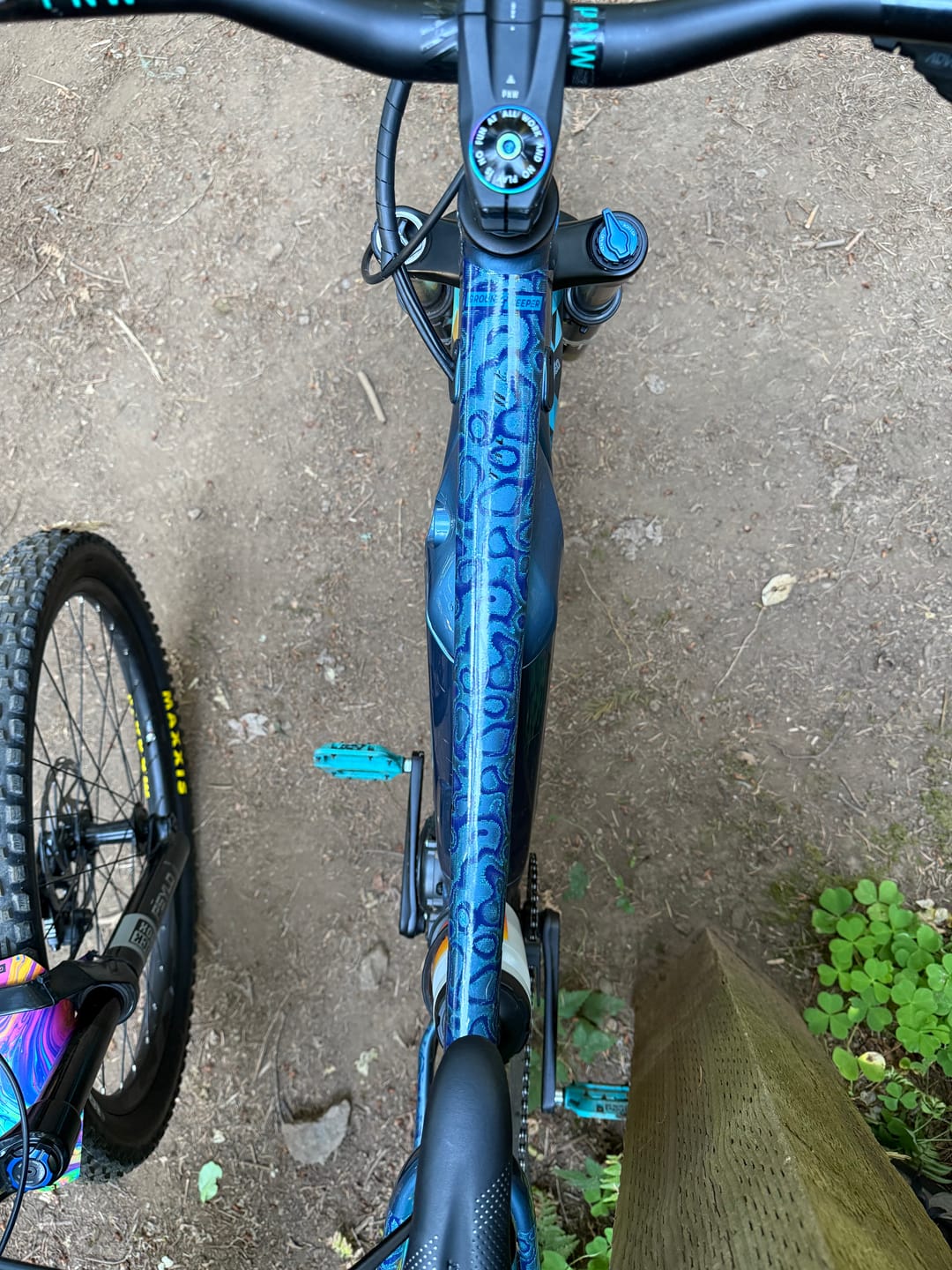Customer photo review of Snake Charmer Frame Keeper