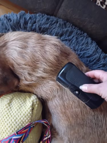 Customer photo review of Fellwunder-Bürste