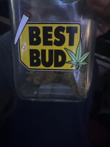 Customer photo review of Key Lime Pie THCA Flower