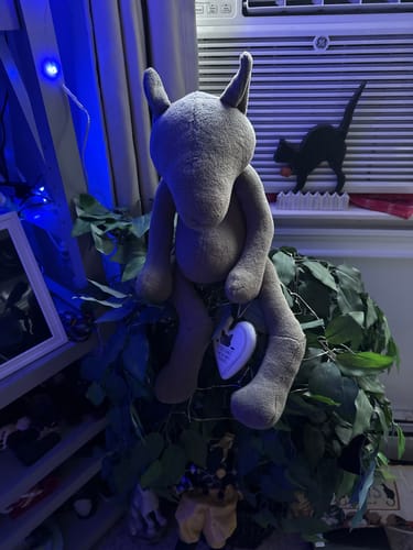 Customer photo review of PIOTR, LE LOUP - GRAND