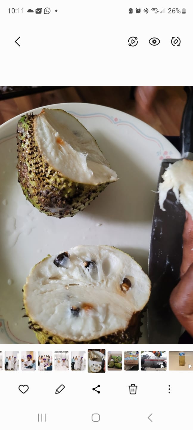 Customer photo review of Premium Soursop (Guanabana)