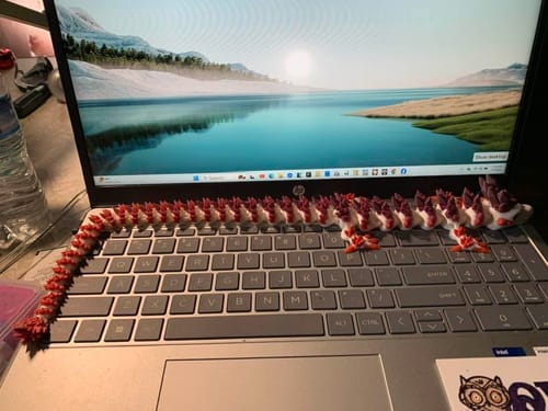 Customer photo review of 18” 3D Printed Dragon