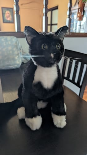 Custom Petslify plush reviewed by Sheena M., handmade replica of their cat