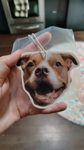 Customer photo review of Custom Air Freshener