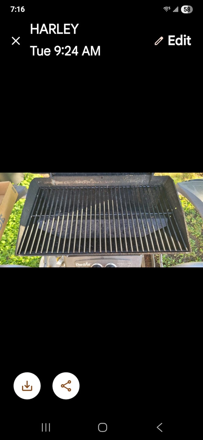 Customer photo review of Grillbot Black: Automatic Grill Cleaning Robot