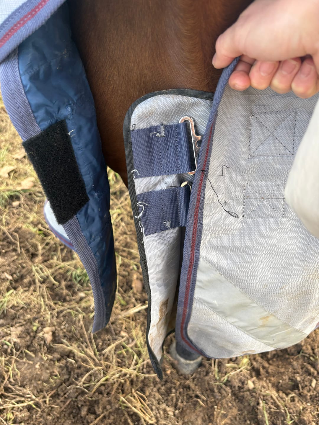 Customer photo review of LE Boxter Turnout Ripstop 50g