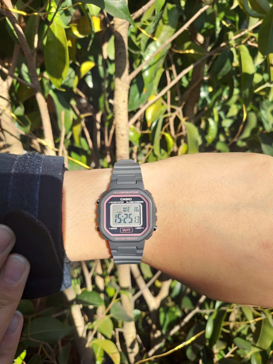 Customer photo review of Reloj Casio Vintage LA-20WH-8ADF Gris Rosado