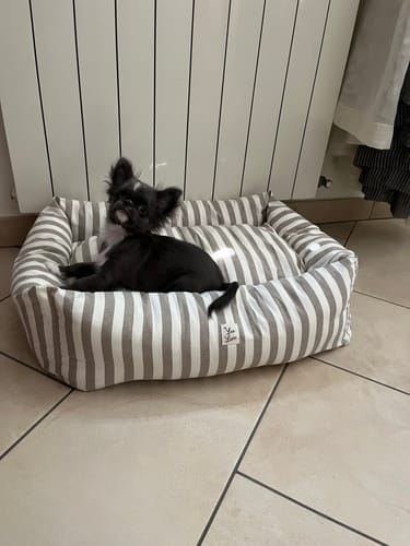 Customer photo review of Divanetto Cotone Righe Larghe Marrone