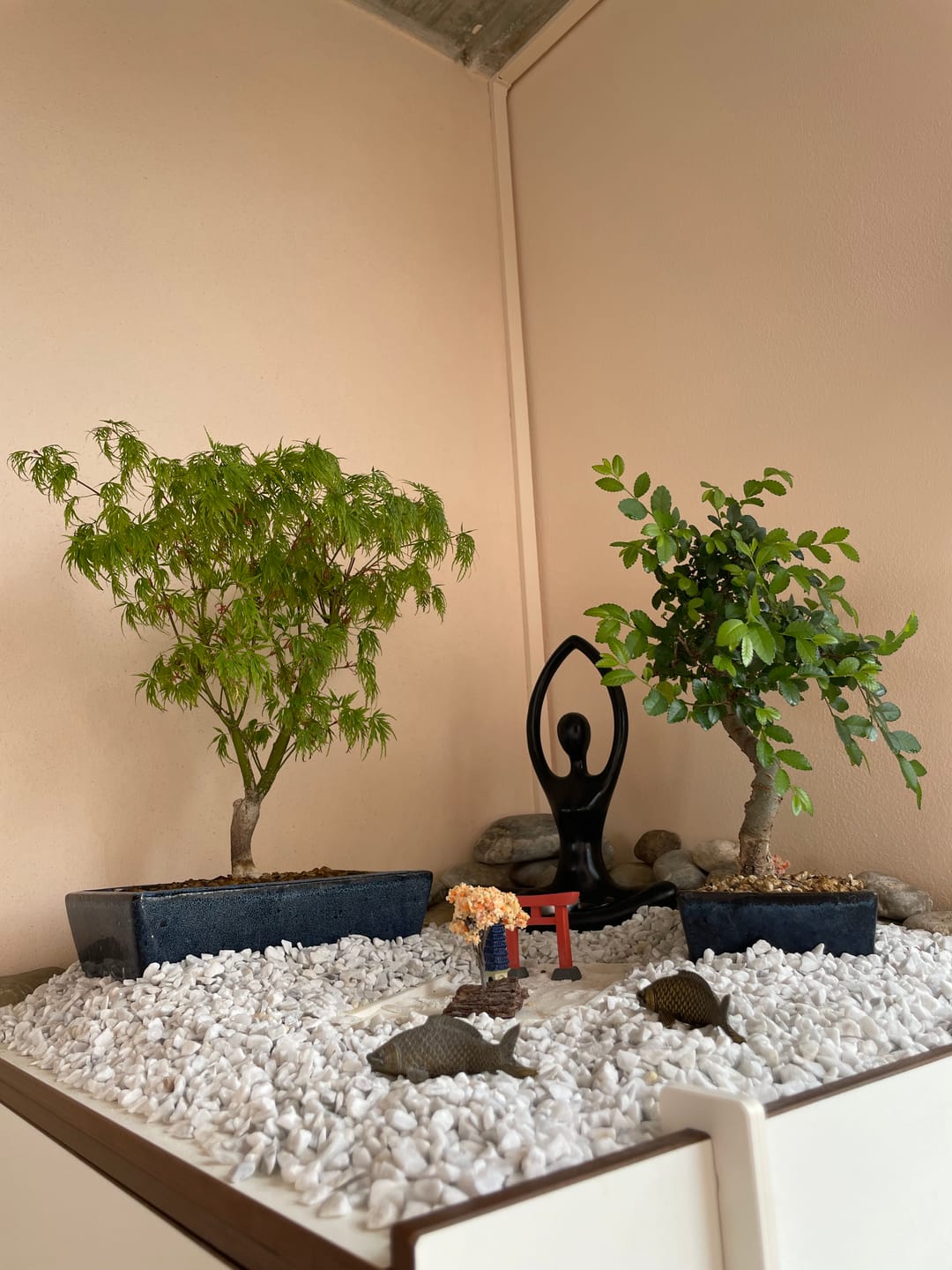 Customer photo review of ESTATE PACK