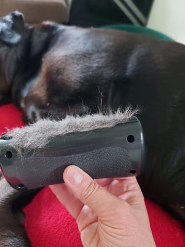 Customer photo review of Fellwunder-Bürste