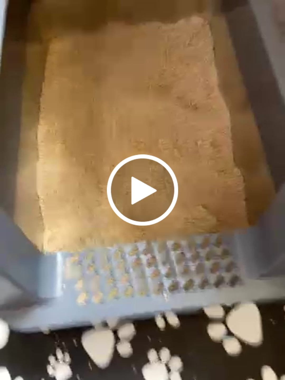Customer video review of LittyBag - La Prima Sabbietta Naturale a Clumping Superficiale