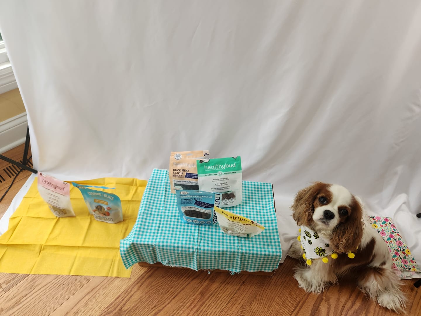 Customer photo review of Duck Calming Aid