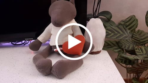 Customer video review of PIOTR, LE LOUP - GRAND - SPÉCIAL