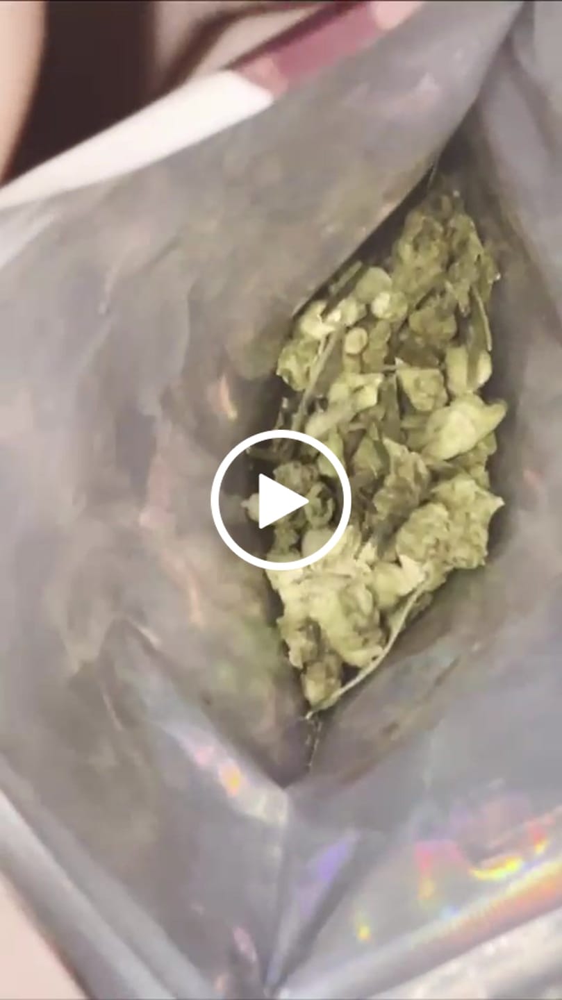 Customer video review of Indoor Micros