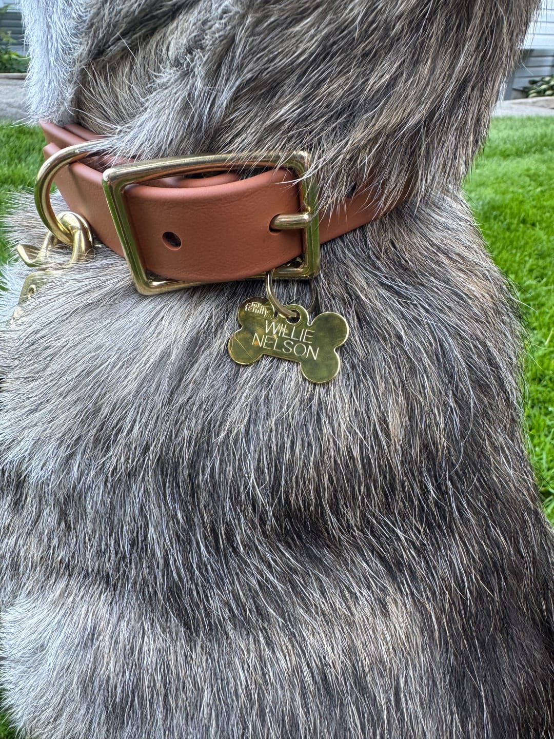 Customer photo review of Terracotta - Classic Biothane Dog Collar