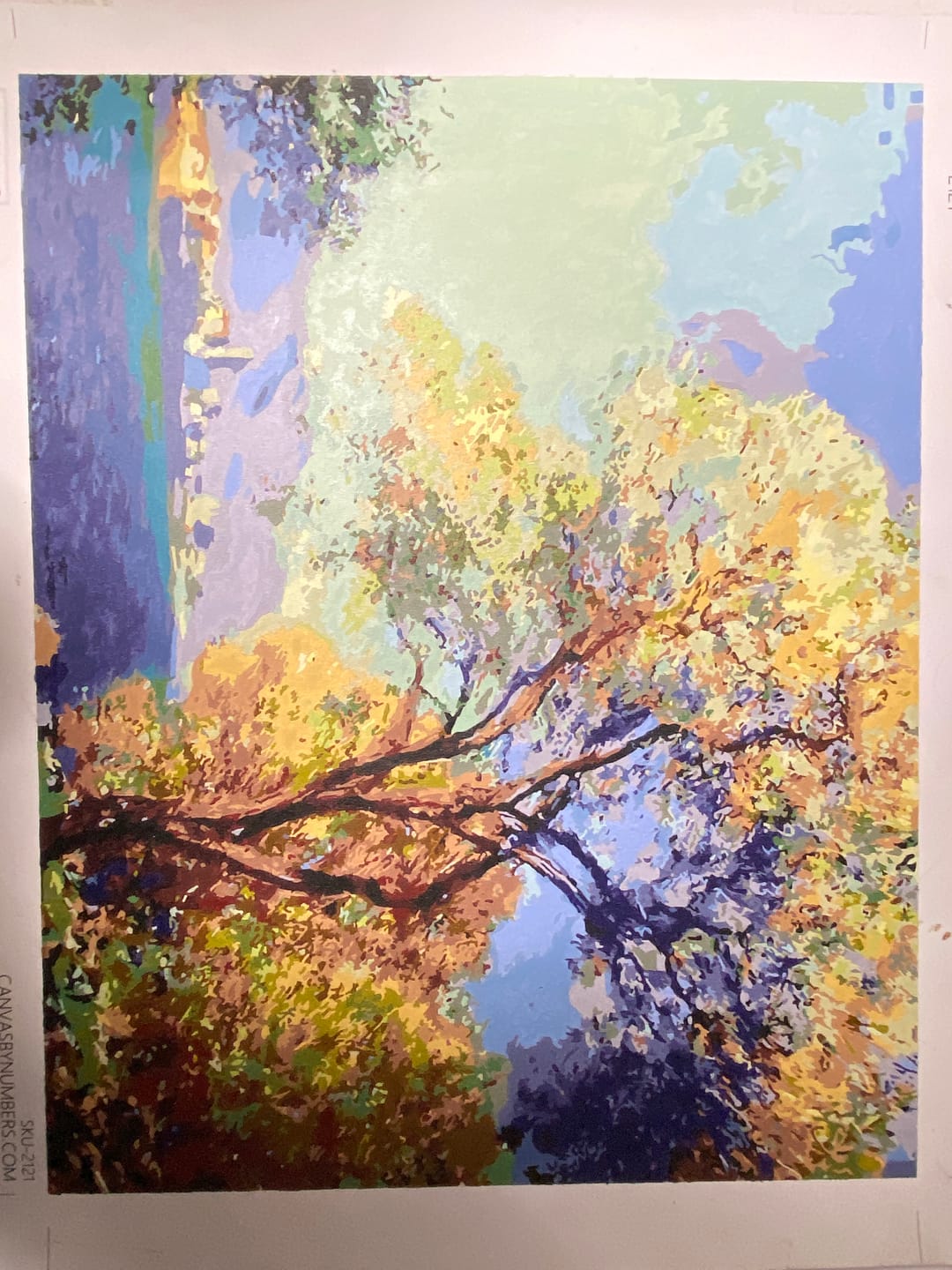 Customer photo review of Antibes Seen from the Salis Gardens