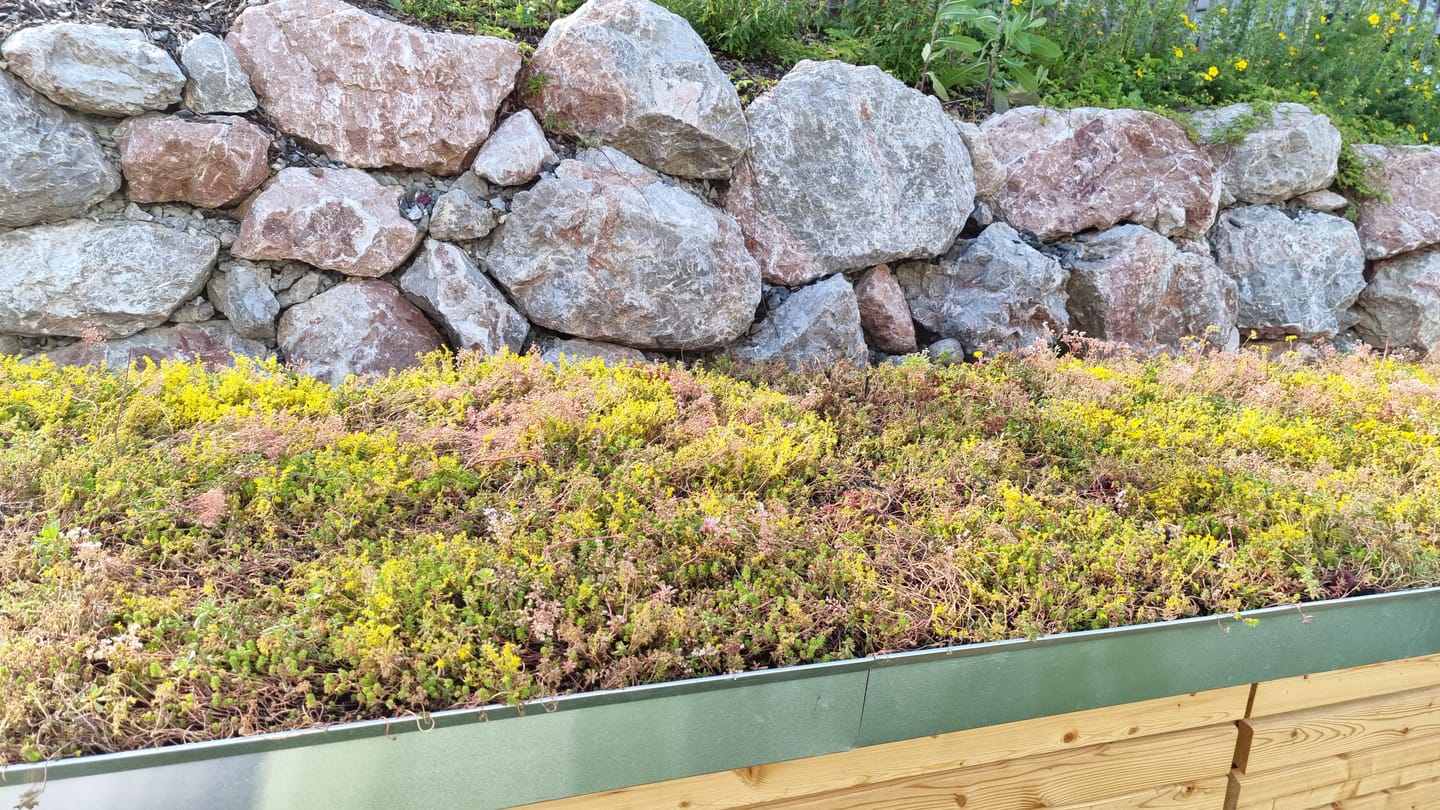 Customer photo review of Sedum-Mix Sedummatten