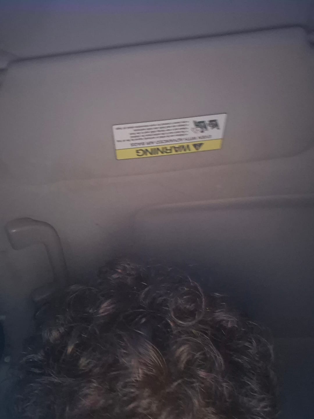 Customer photo review of Volumane Anti-Thinning Stimulating Shampoo