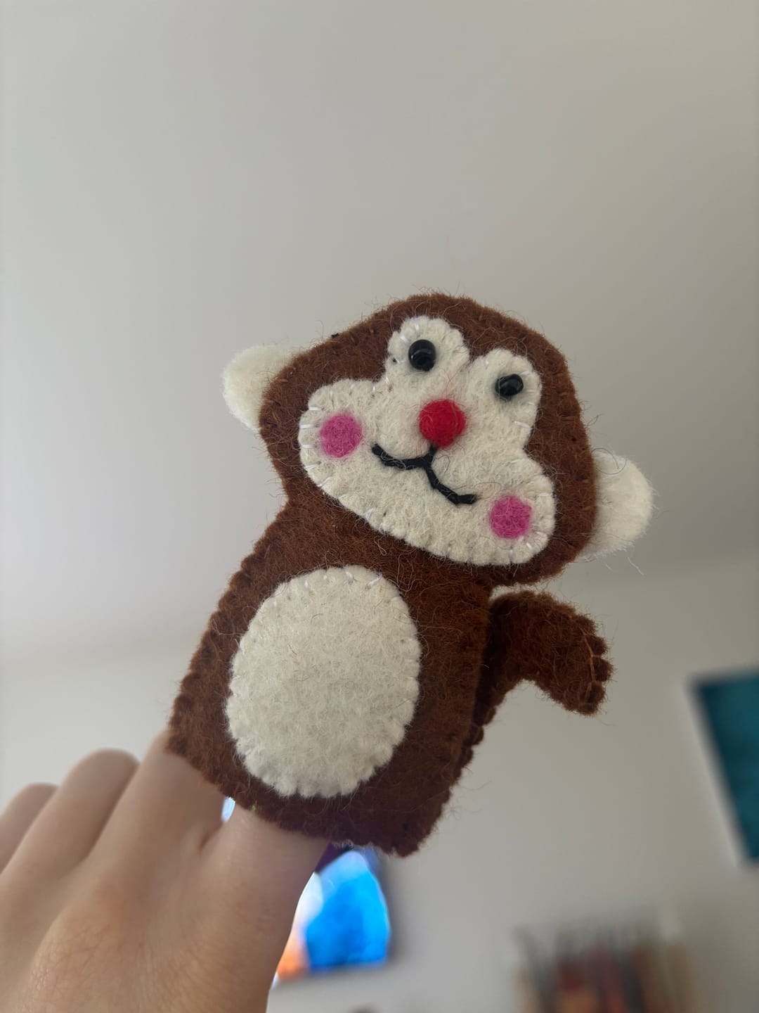 Customer photo review of Finger Puppets - $7 Individual (Pick and Choose)