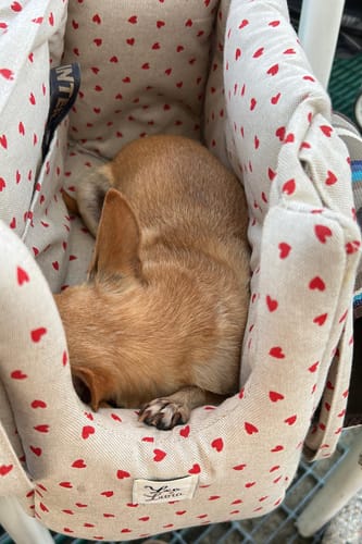 Customer photo review of Borsa Cotone Panama Little Love Heart Red