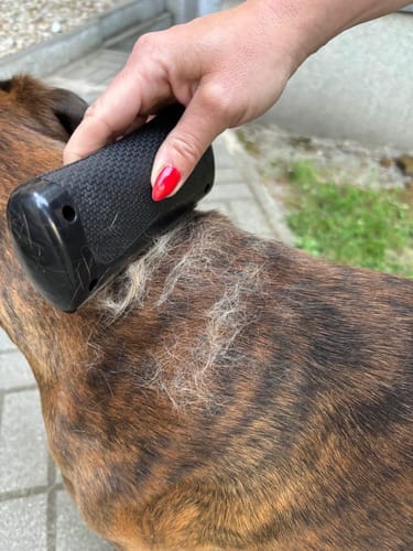 Customer photo review of Fellwunder-Bürste