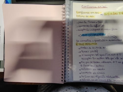 Avis photo d'un client sur OXFORD Porte fiches bristol A5 School Life # 80 vues / 40 pochettes - Rose pastel