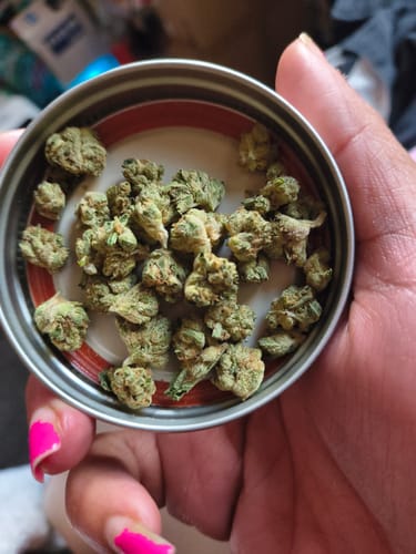 Customer photo review of Oreoz - 28 Grams - Minis (Hybrid)