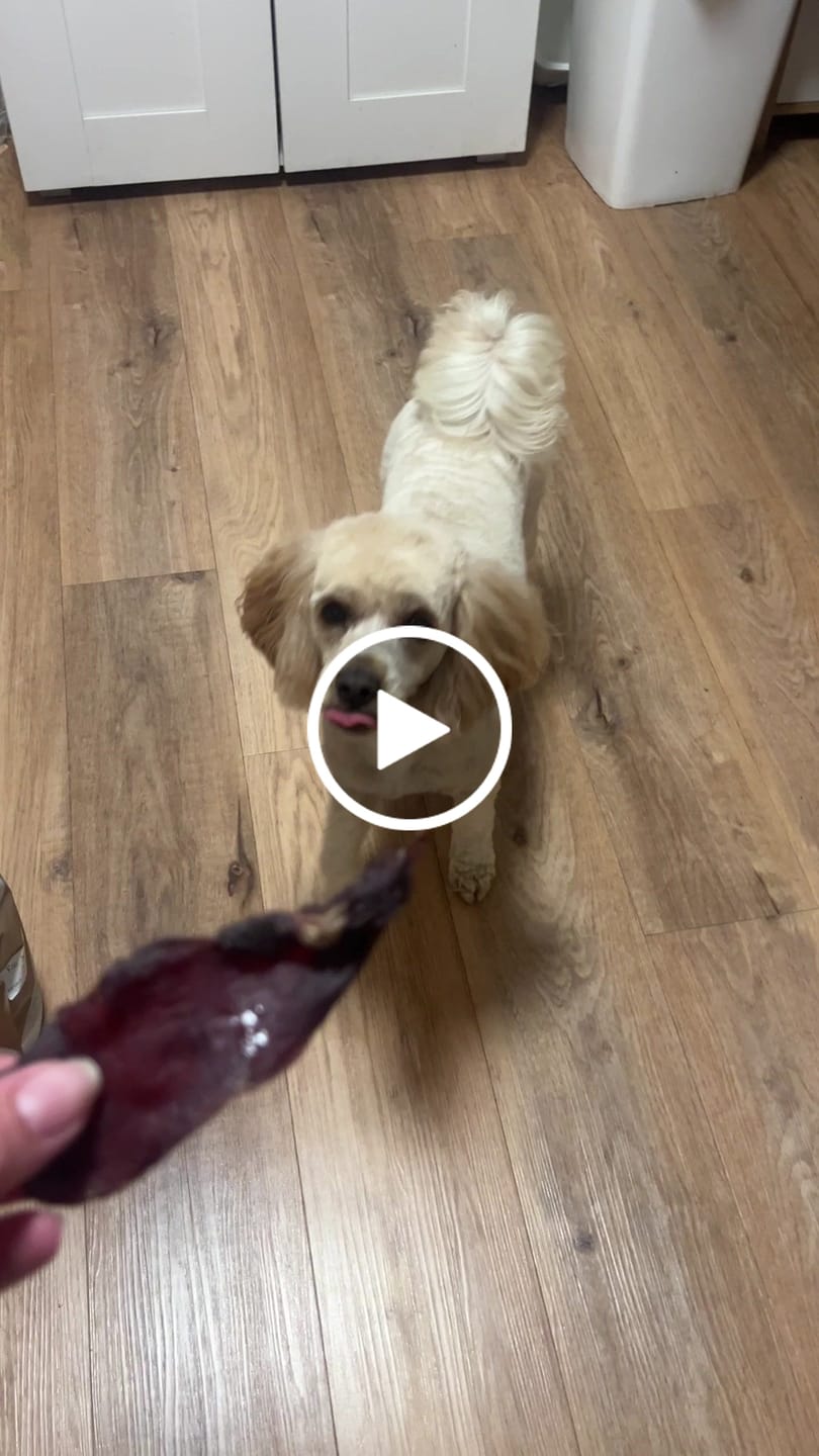 Customer video review of Roo Jerky