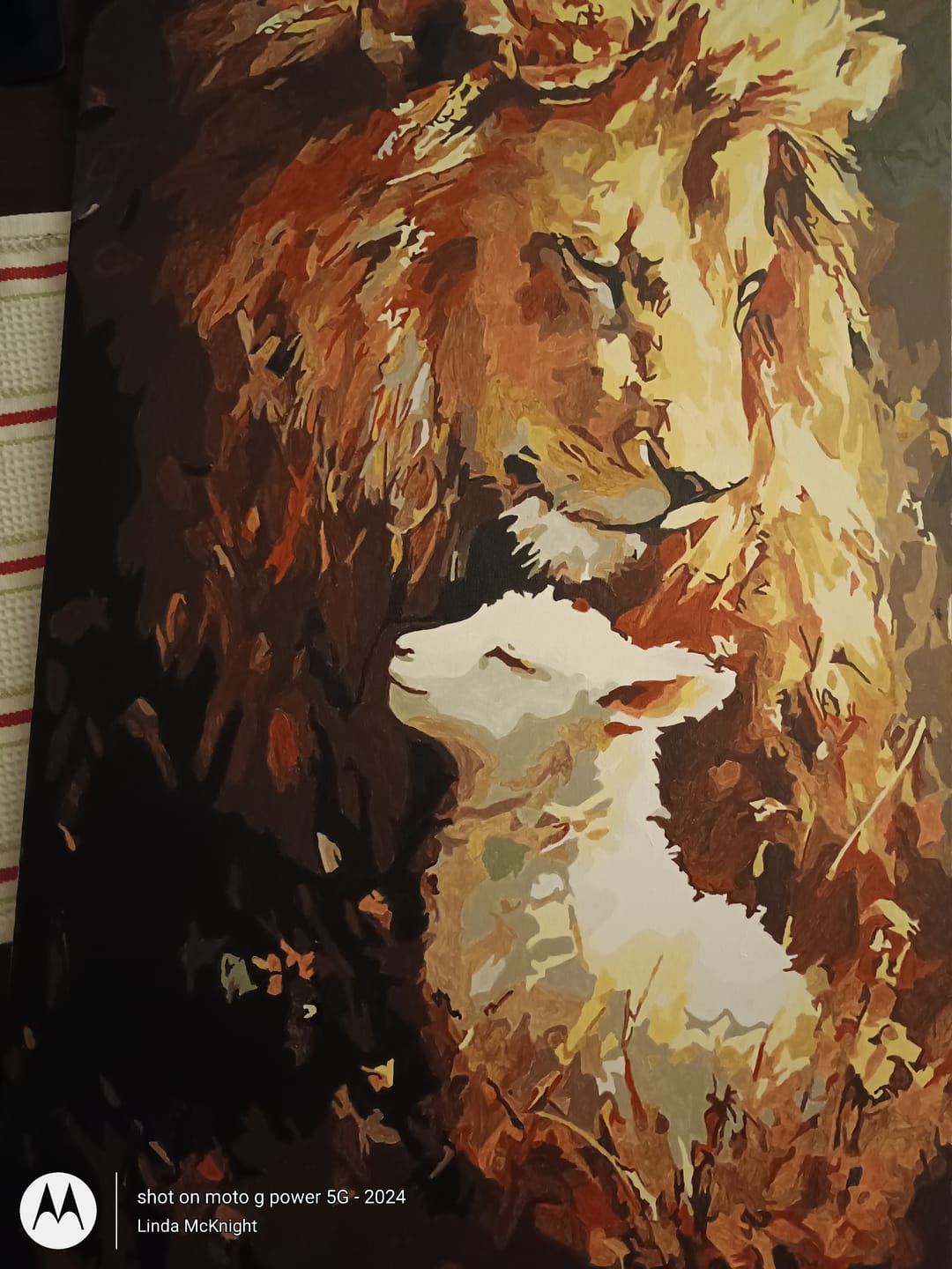 Customer photo review of Paint By Numbers Custom Photo