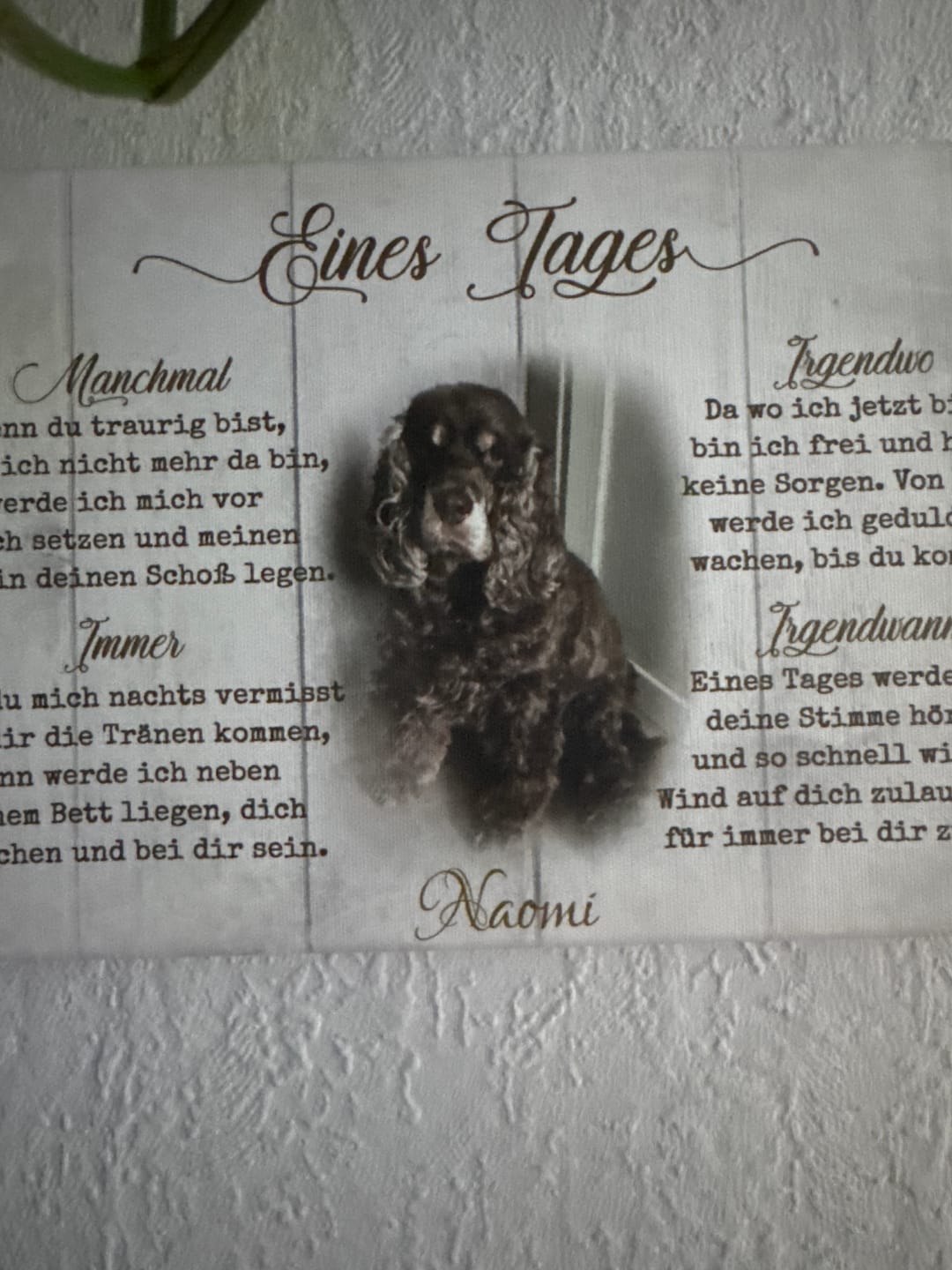Customer photo review of Eines Tages - Individuelle Leinwand