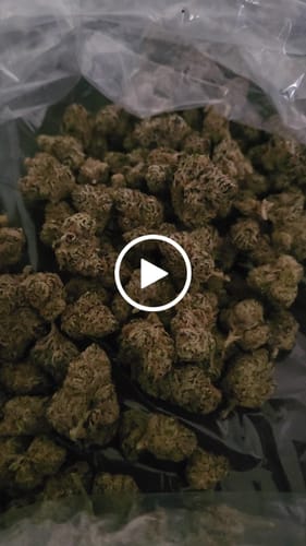 Customer video review of Yuzu Cherries - Bulk- Hybrid