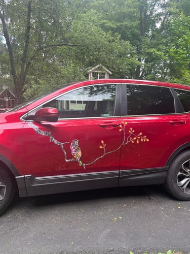 Customer photo review of Birds and Tree Branch Wall Sticker - Decal